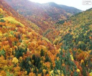 Puzzle Δάσος στα χρώματα του φθινοπώρου